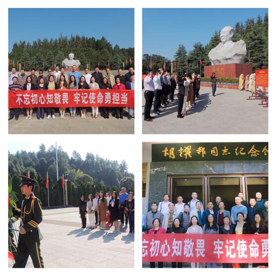 tapplay官网